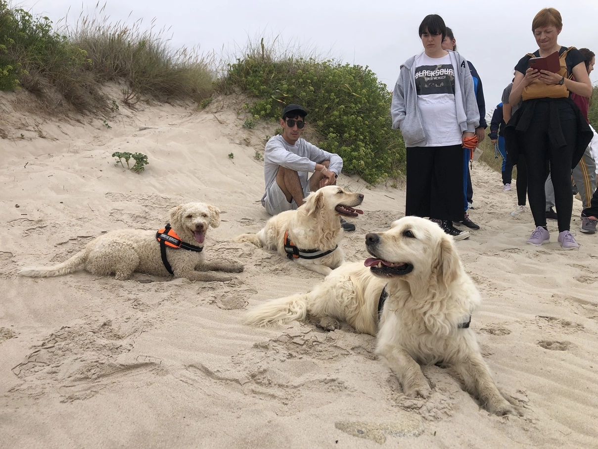 Perros de terapia acompañando a senderistas