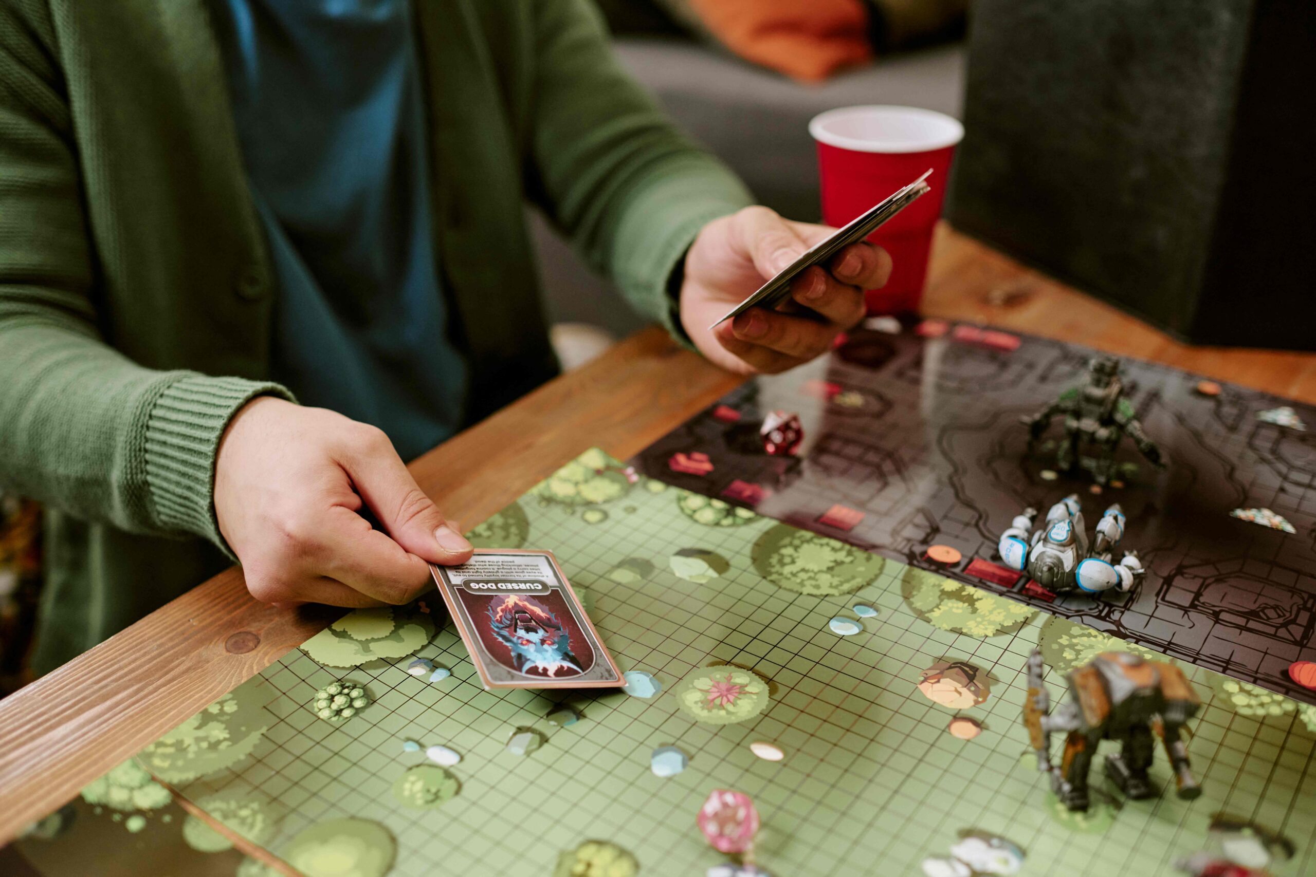 Programa En Juego
