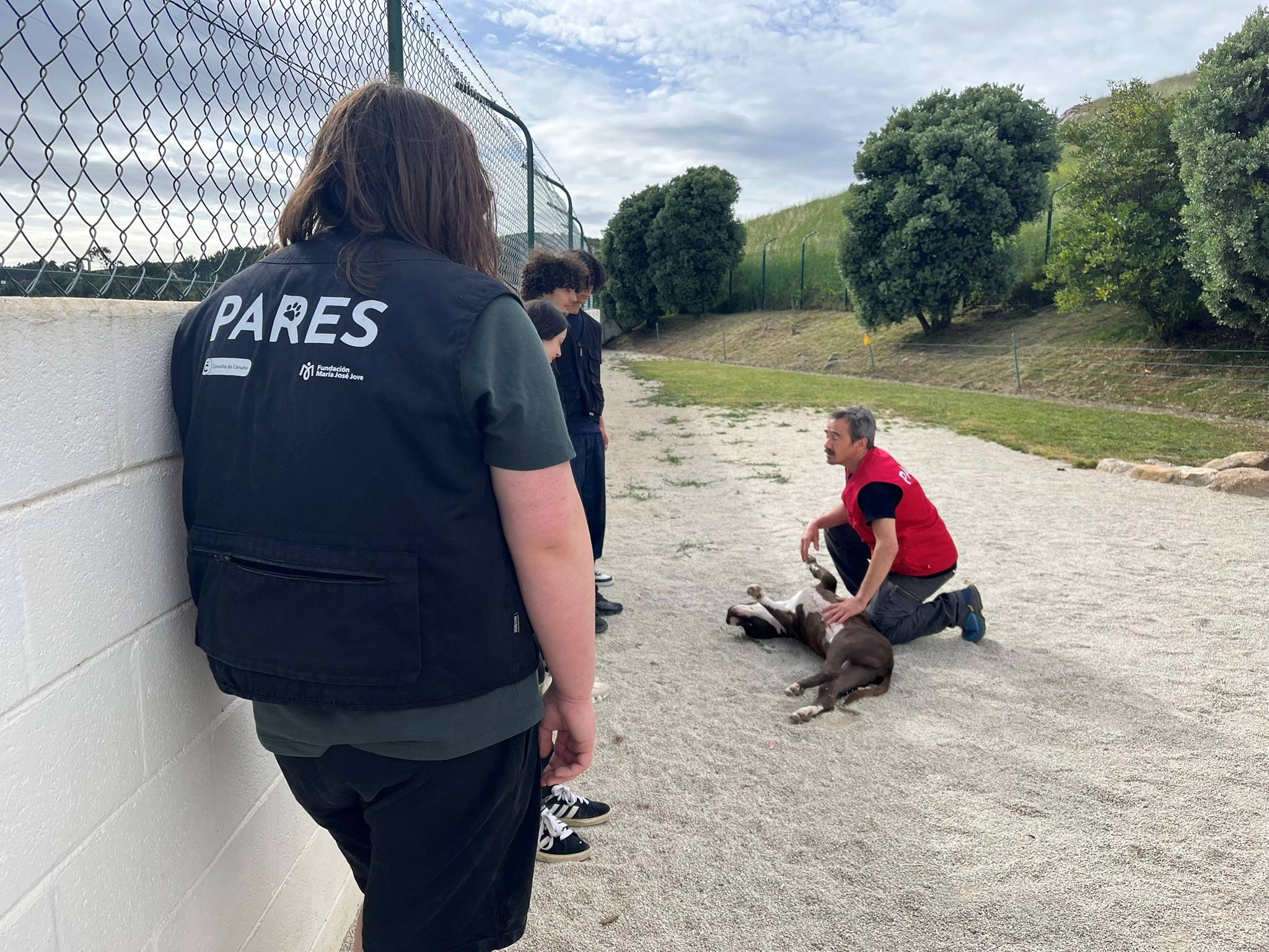 Programa Pares, durante un momento de la actividad con los perros